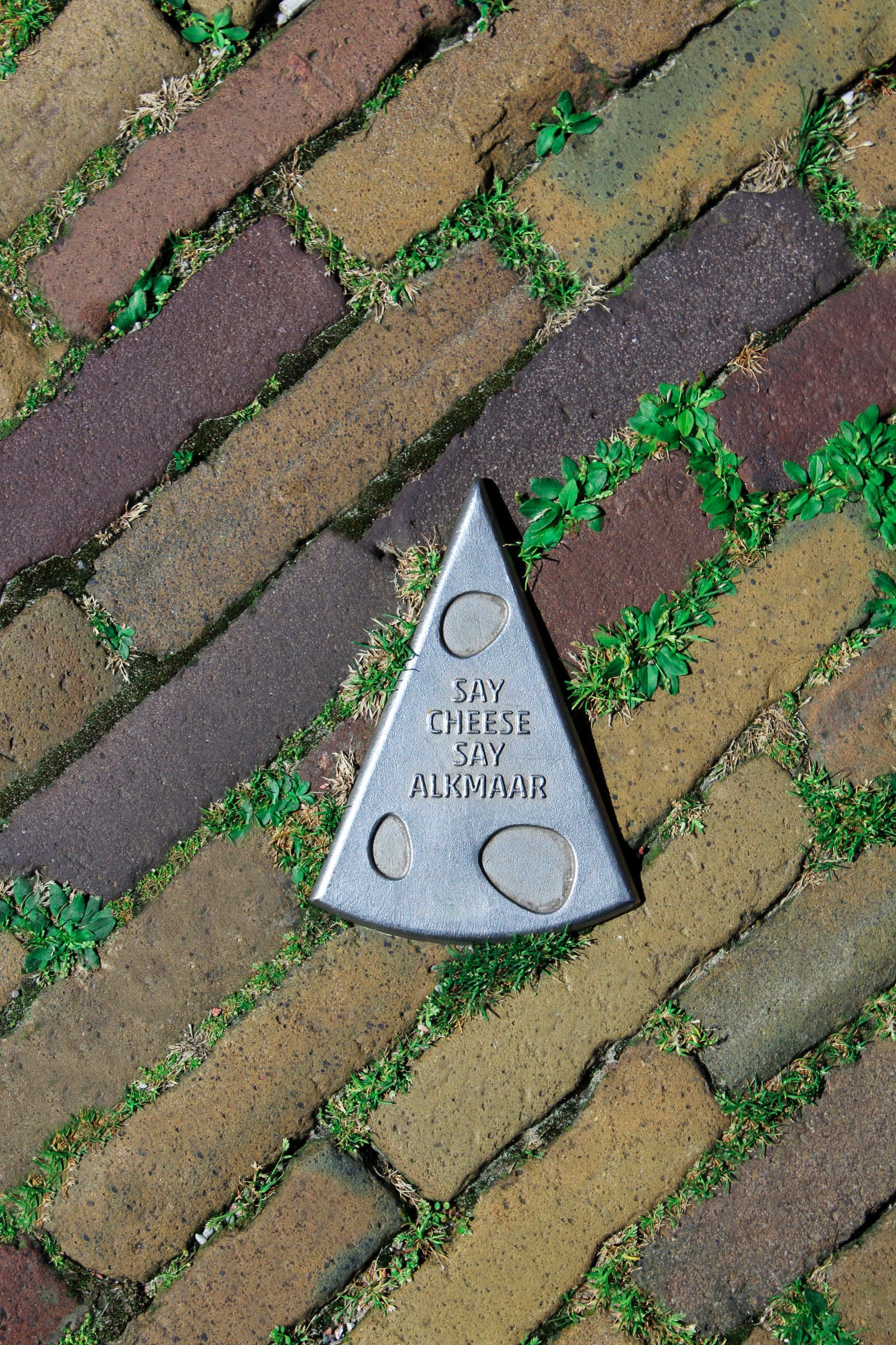 alkmaar kaas