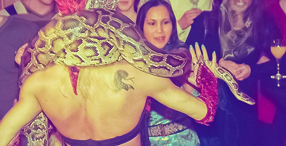 Machtig marrakech bedrijfsfeest met slangen